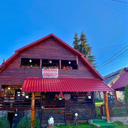 Отель Cabana Ancuta Выртоп Экстерьер фото