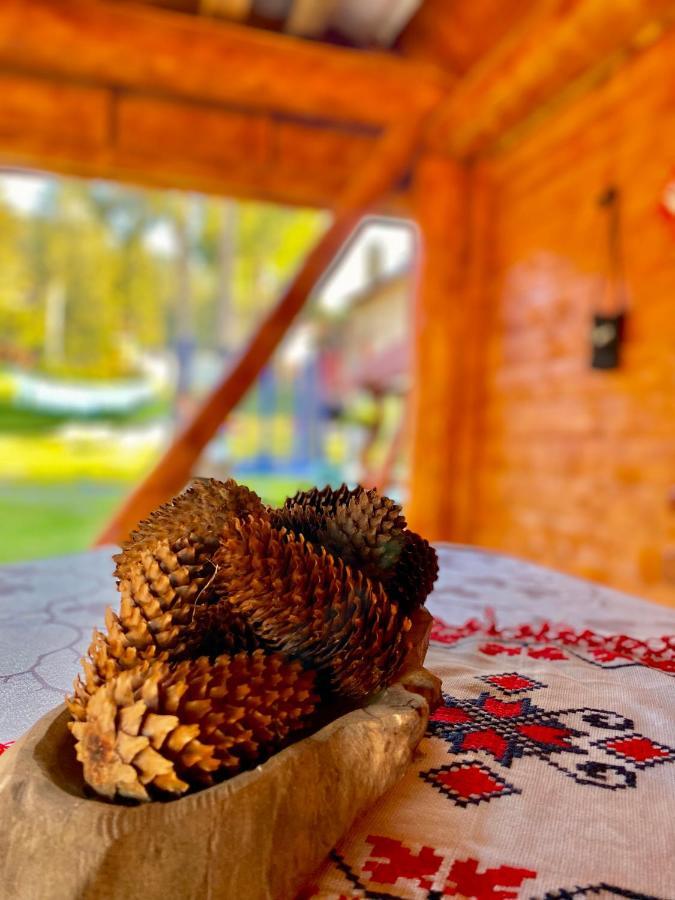 Отель Cabana Ancuta Выртоп Экстерьер фото