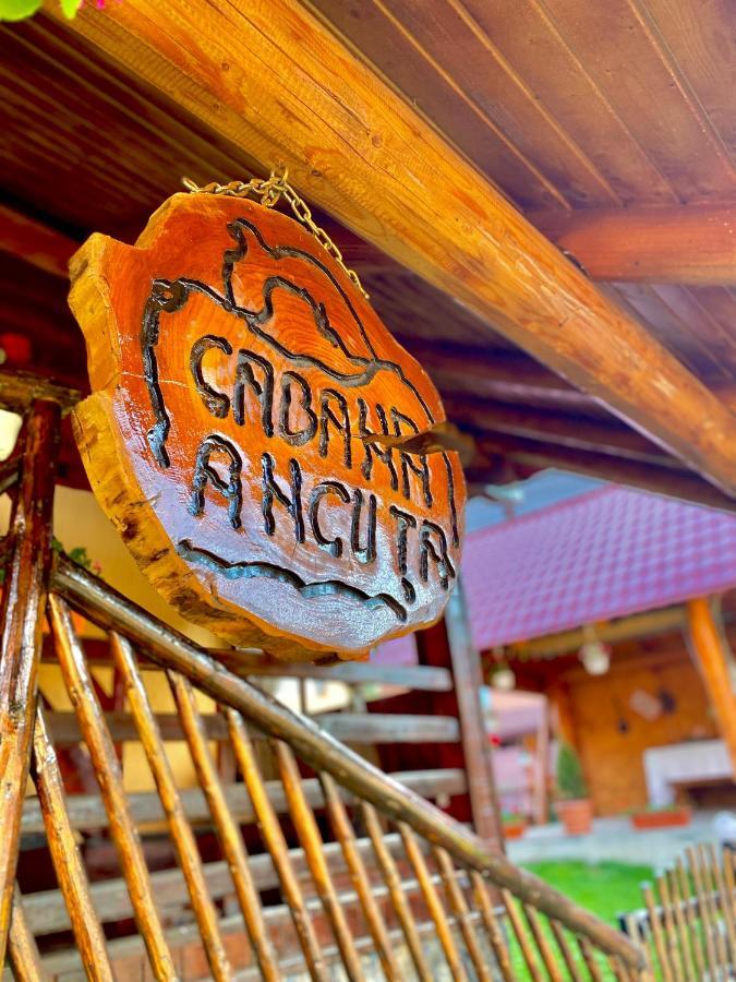 Отель Cabana Ancuta Выртоп Экстерьер фото